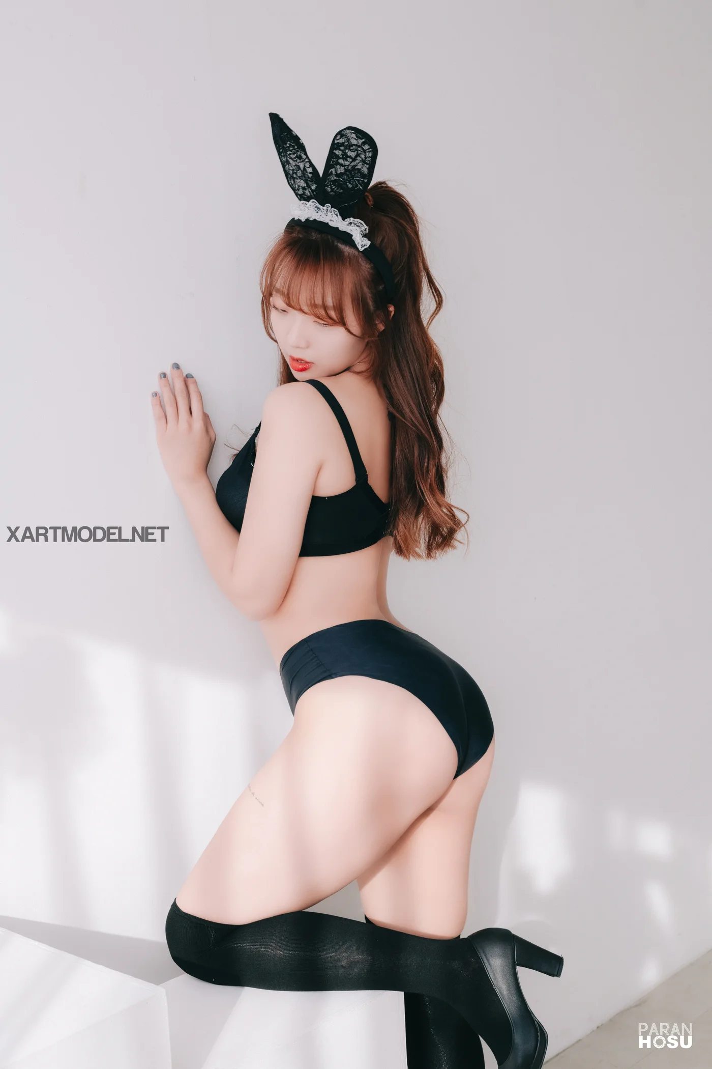 Paranhosu NO.006 Koby - Welsh Red & Black