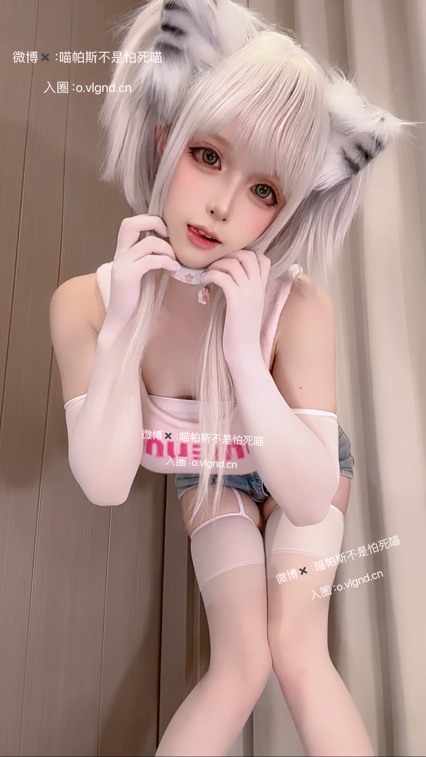 喵帕斯 NO.006 日常喵