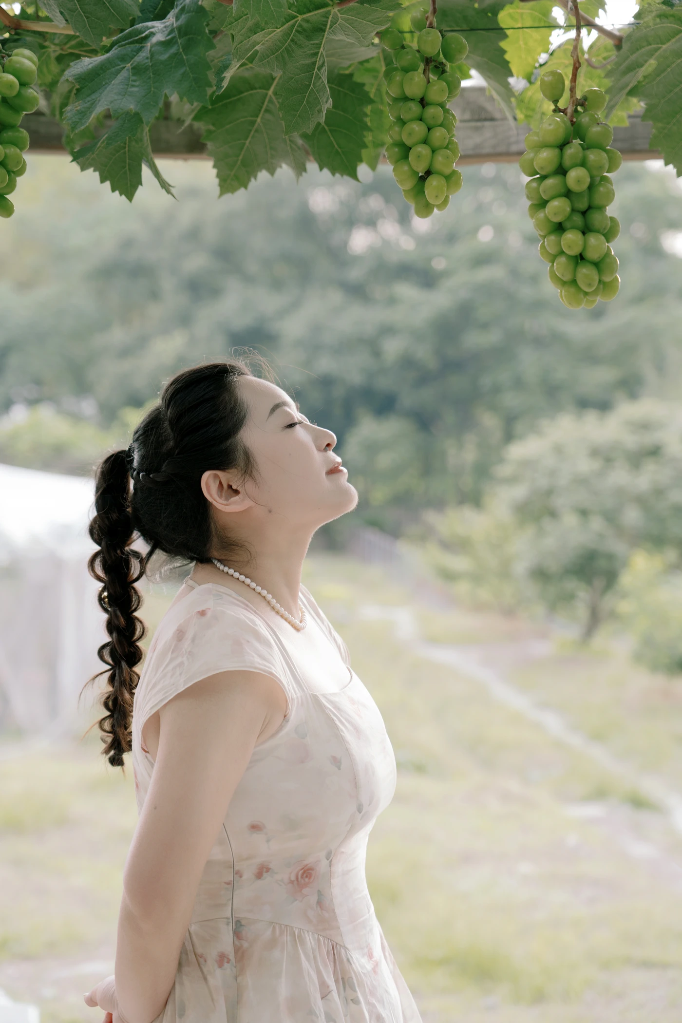 [YITUYU艺图语] 2025.08.16 青提之夏 菌菌