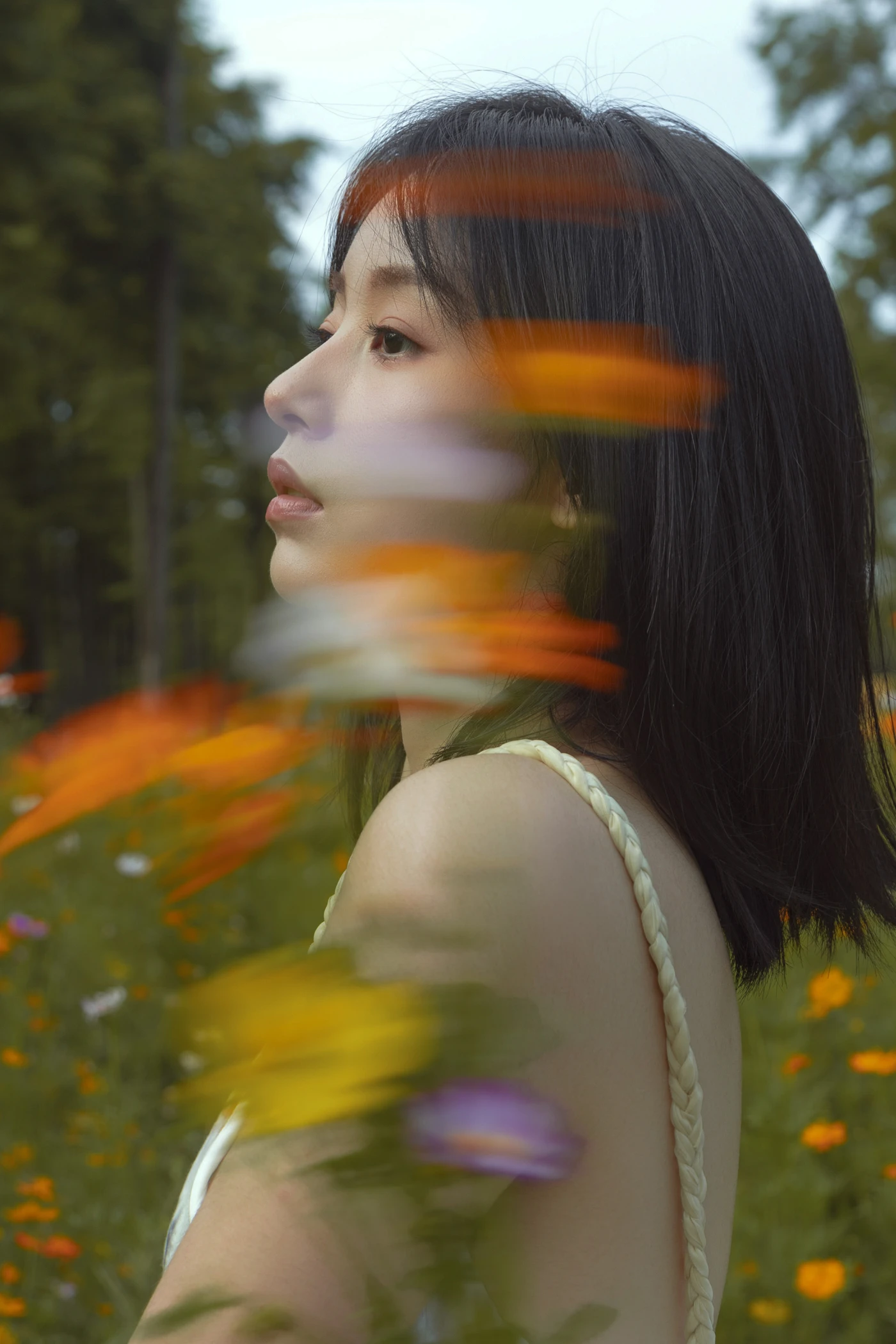 [YITUYU艺图语] 2025.08.19 如花在野 ahs