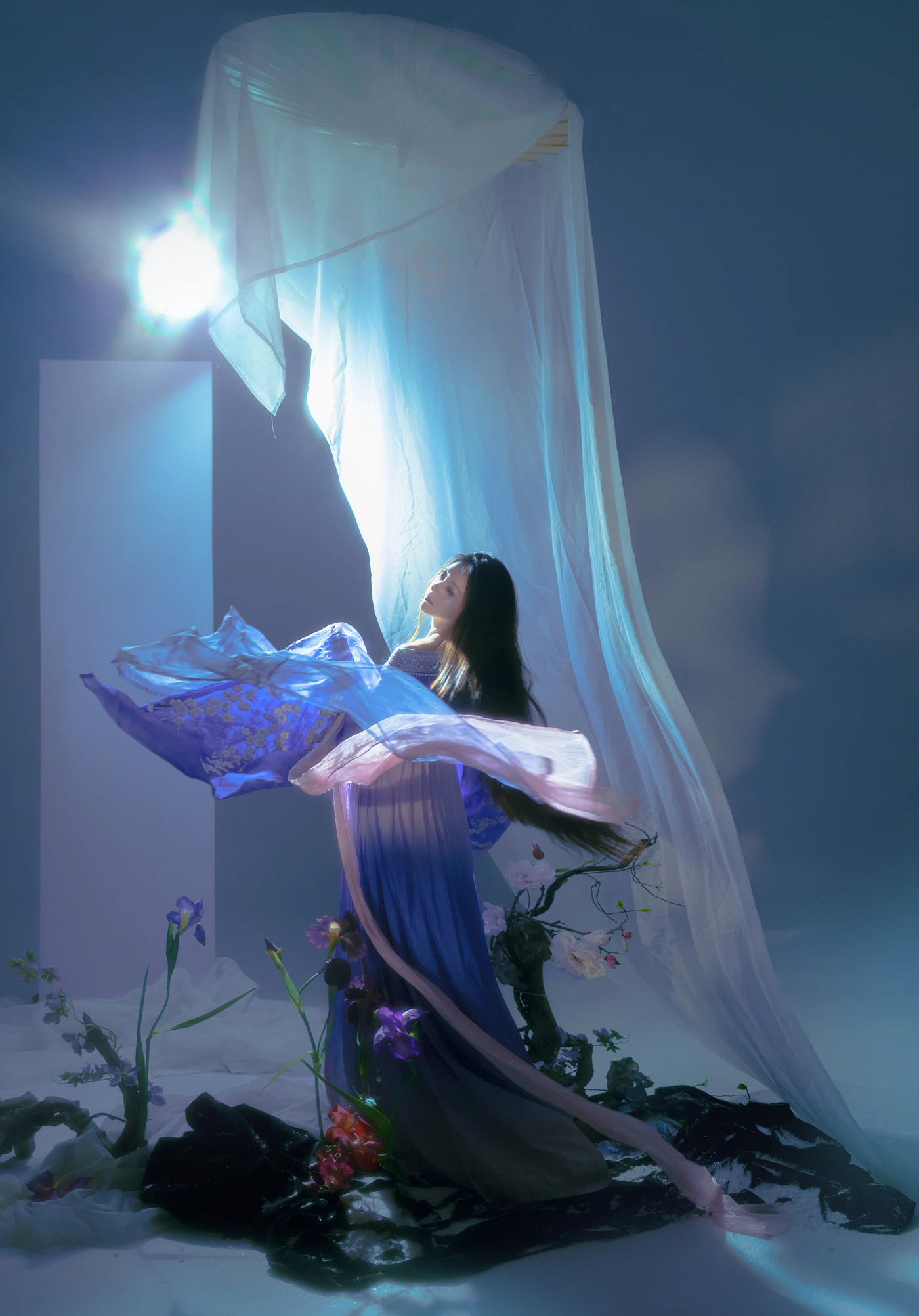 [YITUYU艺图语] 2025.08.30 月下鸢尾 煜月是兔兔