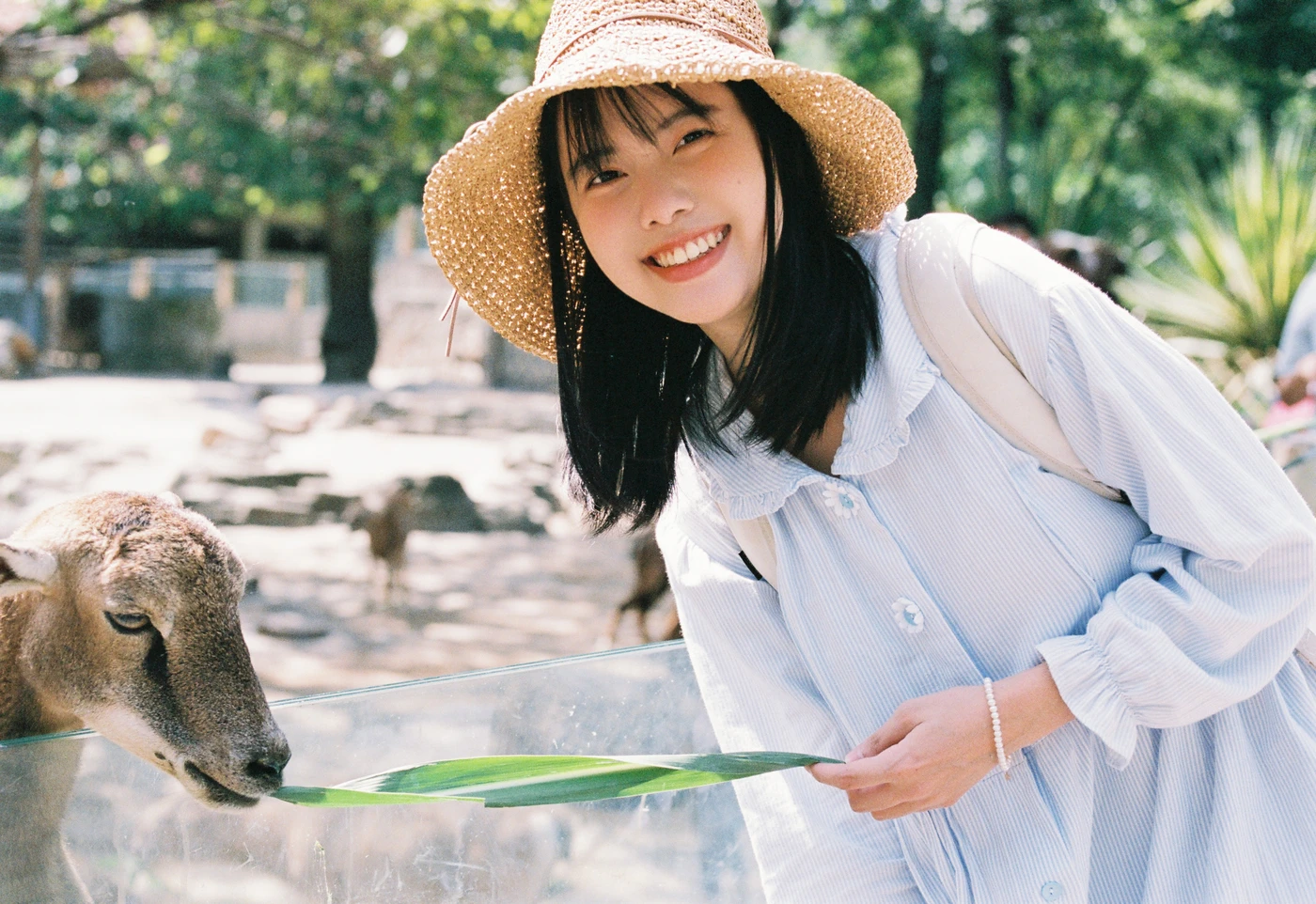 [YITUYU艺图语] 2025.09.10 动物园游记 脆脆鲨甜掉牙-